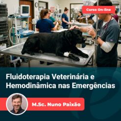 Fluidoterapia Veterinária e Hemodinâmica nas Emergências