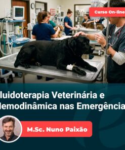 Fluidoterapia Veterinária e Hemodinâmica nas Emergências