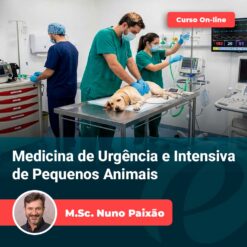 Equipe veterinária atendendo cão em emergência — Curso de Emergência Veterinária e UTI de Pequenos Animais, com Prof. M.Sc. Nuno Paixão (Equalis)