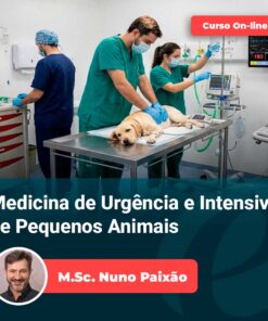 Equipe veterinária atendendo cão em emergência — Curso de Emergência Veterinária e UTI de Pequenos Animais, com Prof. M.Sc. Nuno Paixão (Equalis)