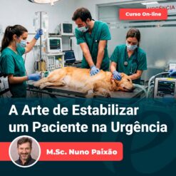 A Arte de Estabilizar um Paciente na Urgência