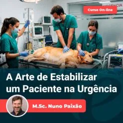 A Arte de Estabilizar um Paciente na Urgência