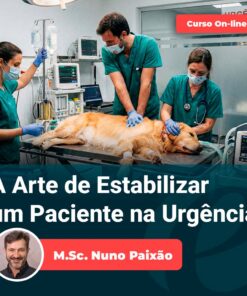 A Arte de Estabilizar um Paciente na Urgência