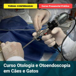 Veterinary surgeons perform otology/endoscopy on a dog during a hands-on course; banners read 'TURMA CONFIRMADA!' and 'Curso Presencial Prático'; bottom shows 'Curso Otologia e Otoneendoscopia em Cães e Gatos'