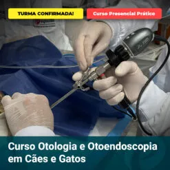 Veterinary surgeons perform otology/endoscopy on a dog during a hands-on course; banners read 'TURMA CONFIRMADA!' and 'Curso Presencial Prático'; bottom shows 'Curso Otologia e Otoneendoscopia em Cães e Gatos'