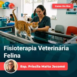 Fisioterapia Veterinária Felina