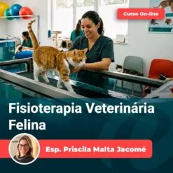 Fisioterapia Veterinária Felina