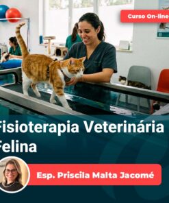 Fisioterapia Veterinária Felina