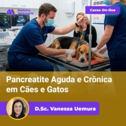 Pancreatite Aguda e Crônica em Cães e Gatos