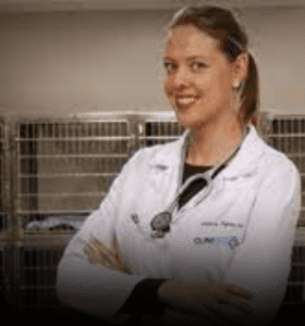 Pós Graduação em Clínica Médica Veterinária de Pequenos Animais - Imagem 14