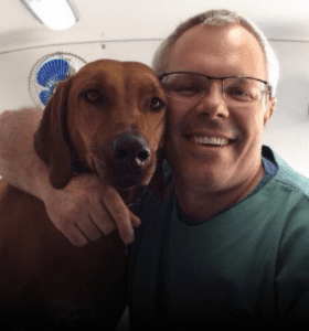 Pós Graduação em Clínica Médica Veterinária de Pequenos Animais - Imagem 11