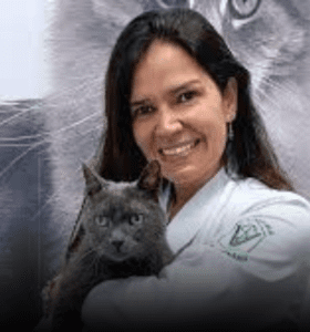 Pós Graduação em Clínica Médica Veterinária de Pequenos Animais - Imagem 7