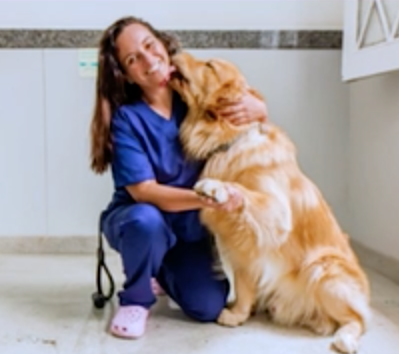 Pós Graduação em Clínica Médica Veterinária de Pequenos Animais - Imagem 38