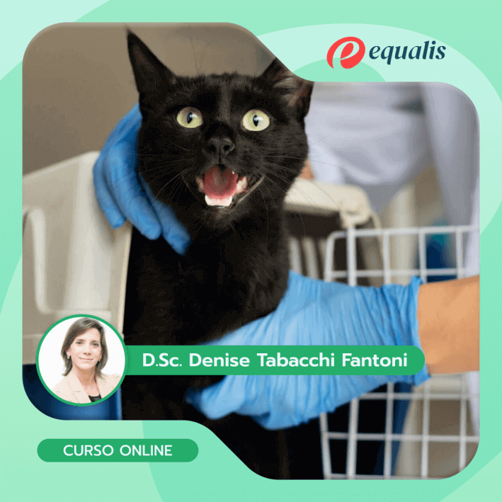 Controle da Dor na Clínica de Cães e Gatos - Imagem 2