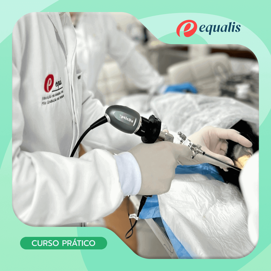 Curso Otologia e Otoendoscopia em Cães e Gatos - Imagem 7