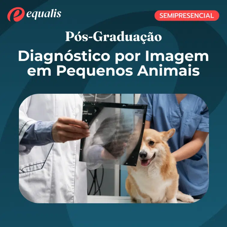 Pós Graduação em Diagnóstico por Imagem em Pequenos Animais - Imagem 2