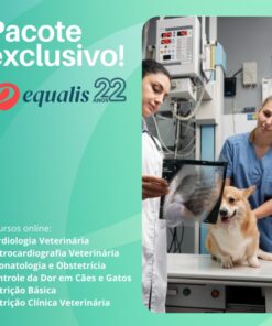 Alternative view of Seleção Equalis 22 Anos - Pacote Cursos Online