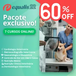 Seleção Equalis 22 Anos - Pacote Cursos Online