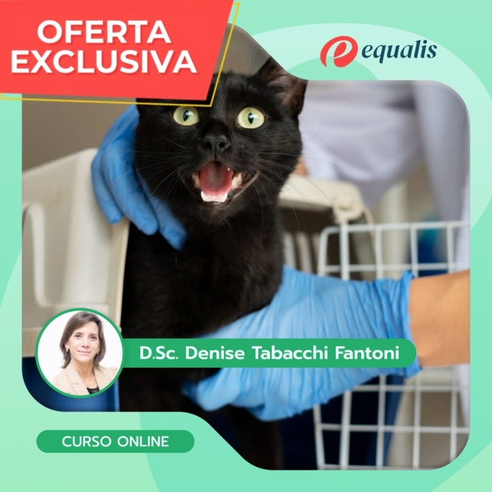 Controle da Dor na Clínica de Cães e Gatos - Imagem 4
