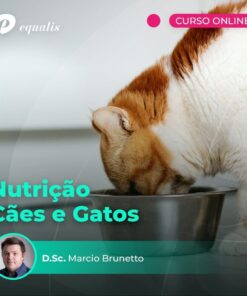 Curso em Nutrição de Cães e Gatos