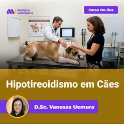 Hipotireoidismo em Cães