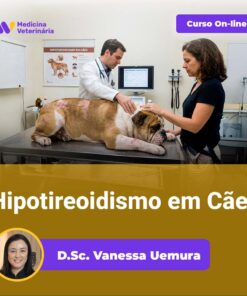 Hipotireoidismo em Cães