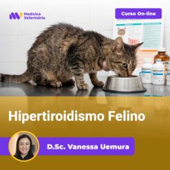 Hipertiroidismo Felino