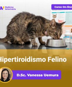 Hipertiroidismo Felino