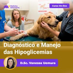 Diagnóstico e Manejo das Hipoglicemias