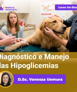 Diagnóstico e Manejo das Hipoglicemias