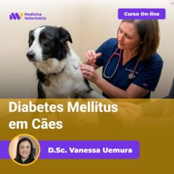 Diabetes Mellitus em Cães
