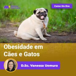 Obesidade em Cães e Gatos