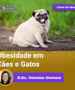 Obesidade em Cães e Gatos