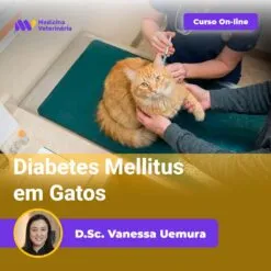 Diabetes Mellitus em Gatos