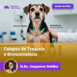Colapso de Traqueia e Broncomalácia