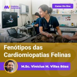 A veterinarian performs an ultrasound on a cat in a clinic; a purple online course banner and the title about feline cardiomyopathy phenotypes are overlaid.