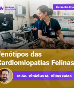 A veterinarian performs an ultrasound on a cat in a clinic; a purple online course banner and the title about feline cardiomyopathy phenotypes are overlaid.