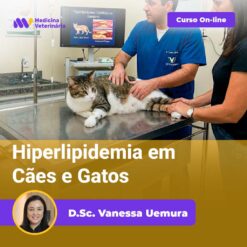 Hiperlipidemia em Cães e Gatos