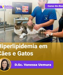Hiperlipidemia em Cães e Gatos