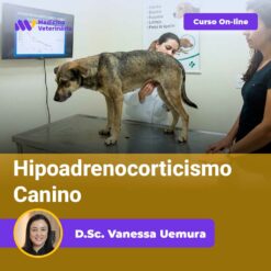 Hipoadrenocorticismo Canino