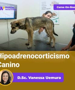 Hipoadrenocorticismo Canino