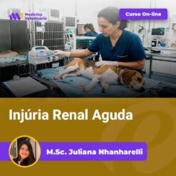 Veterinary clinic scene: a vet in blue scrubs treats a dog on a medical table with monitors; a purple 'Curso On-line' badge and the title 'Injúria Renal Aguda' appear, with instructor 'M.Sc. Juliana Nhnharelli' at the bottom in a purple banner.