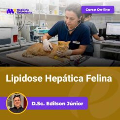 Veterinary clinic scene: a veterinarian in dark scrubs uses a stethoscope on an orange cat on an exam table; background medical equipment visible; overlay promotes an online course titled 'Lipidosa Hepática Felina' with a photo of Dr. Edilson Júnior.