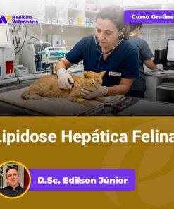 Veterinary clinic scene: a veterinarian in dark scrubs uses a stethoscope on an orange cat on an exam table; background medical equipment visible; overlay promotes an online course titled 'Lipidosa Hepática Felina' with a photo of Dr. Edilson Júnior.