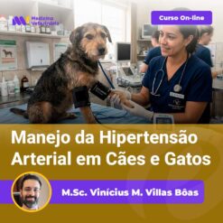 Vet examines a dog on an exam table in a clinic; banner promotes an online course on managing hypertension in dogs and cats.