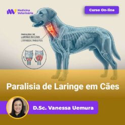 Paralisia de Laringe em Cães