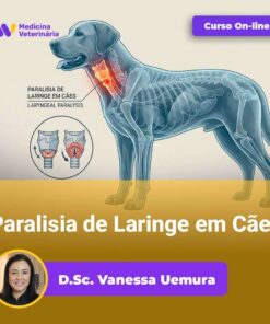 Paralisia de Laringe em Cães