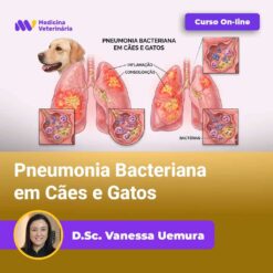 Pneumonia Bacteriana em Cães e Gatos