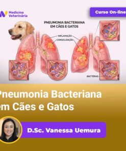 Pneumonia Bacteriana em Cães e Gatos