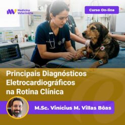 Online veterinary course banner: a veterinarian checks a dog's ECG in a clinic, with the course title and instructor name.
